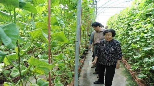 滕州吃瓜最新事件爆料是真的吗,真相揭秘还是网络谣言? 第3张 滕州吃瓜最新事件爆料是真的吗,真相揭秘还是网络谣言? 第3张