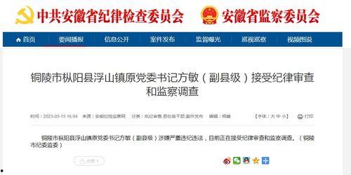 枞阳新闻爆料电话查询网,一键获取权威新闻线索 第1张 枞阳新闻爆料电话查询网,一键获取权威新闻线索 第1张